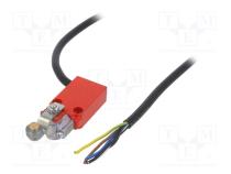 Концевой выключатель  NO + NC  10А  макс.250ВAC  провод 1м  IP66