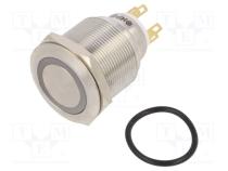 Переключатель  антивандальный  Пол  2  SPDT  3A/220ВAC  5A/24ВDC