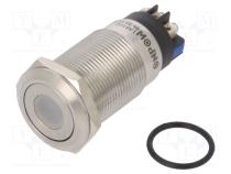 Переключатель  антивандальный  Пол  2  SPDT  3A/220ВAC  5A/24ВDC