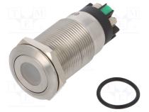 Переключатель  антивандальный  Пол  2  SPDT  3A/220ВAC  5A/24ВDC