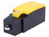 Endschalter  Kunststoffrolle Ø9mm  NO + NC  6A  max.400VAC  M20