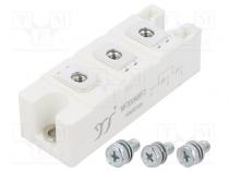 Modul  Diodenl  doppelt,gemeinsame Anode  600V  If  300A  F2  FRED