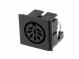 DIN 8 P ZP90 BS-Stecker