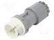 Steckverbinder  zur AC-Stromversorgung  Stecker  männlich  32A