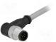 Stecker  M12  PIN  12  männlich  Code A-DeviceNet / CANopen  10m