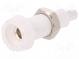 Buchse  4mm Bananen  10A  28,5mm  weiss  vernickelt  10mΩ  250VAC