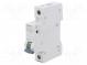 Überstromschalter  230/400VAC  lNenn  10A  Pole  1  DIN  Charakt  B