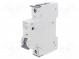 Überstromschalter  230/400VAC  lNenn  10A  Pole  1  DIN  Charakt  A