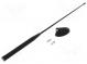 Antenne  AM,FM  Ford