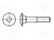 Schraube  M10x30  DIN  603  Kopf  Kugelkopf  quadratisch  26mm