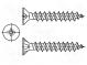 Schraube  für Spanplatten  3x10  Kopf  Senkkopf  Pozidriv  PZ1