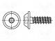 Schraube  für Kunststoff  3x16  Kopf  Kugelkopf  Torx® PLUS  10IP