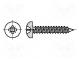 Schraube  4,8x19  Kopf  Zylinder  Pozidriv  PZ2  Stahl  Zink