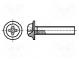 Schraube  mit Flansch  M4x25  Kopf  Kugelkopf  Phillips  PH2