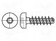 Schraube  für Kunststoff  5x20  Kopf  Zylinder  Torx®  TX20  Stahl