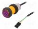Sensor  Entfernung  Infrarot  5VDC  analog  Kanäle  1  30÷800mm