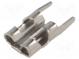 Verbinder  flach  4,8mm  0,5mm  weiblich  THT  Messing  verzinnt