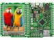 Display  TFT  Interface  JTAG,UART