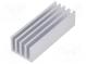 Radiator  geprägt  gerippt  natürlich  L 50mm  W 19mm  H 14mm