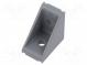 Winkel  für Profile  Nutbreite  8mm  W  25mm  H  40mm  L  40mm  grau