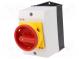 Schalter  Nocken-
